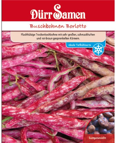 Dürr-Samen - Buschbohnen Borlotto (Beckenbullen) Saatgut