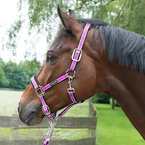 CALEVO - Stallhalfter Stripes