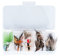 Streamer Sortiment 15 STK Forellenstreamer Set Hechtstreamer Angelset Hecht Kunstköder Forellen Köder Angelköder
