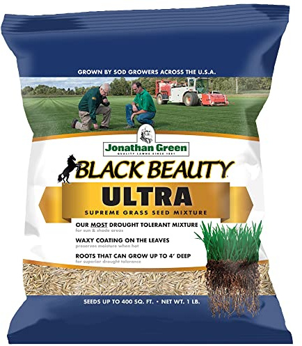 Jonathan Green (10320) Black Beauty Ultra Grass Seed - Cool Season Lawn Seed (1 lb)