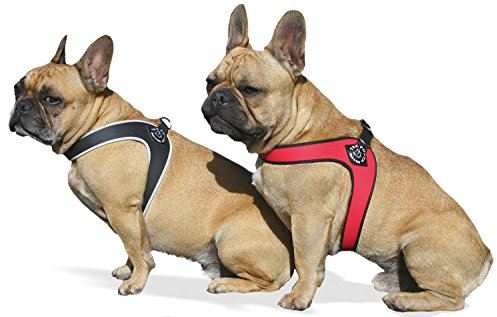 Tre Ponti Geschirr für Hunde / Farbe Schwarz / Gr.2 bis ca. 5kg Brustumfang 33-37cm
