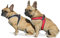 Tre Ponti Geschirr für Hunde / Farbe Schwarz / Gr.2 bis ca. 5kg Brustumfang 33-37cm