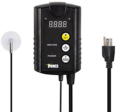 iPower 68-108°F Digital Heat Mat Thermostat Controller for Seed Germination, Reptiles and Brewing