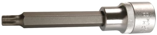 SW-Stahl 05202SB XZN-Schraubendreheinsatz - M8 x 100 mm - 1/2 Zoll | Innenvielzahn-Steckschlüssel aus Chrom-Vanadium-Stahl, lange Ausführung, 12,5 mm Antrieb, Premium-Qualität für Profis