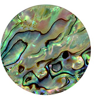 Quiges Natürliche Muschel Large Coin 33mm Abalone Grün für austauschbare Anhänger Münzfassung Halskette