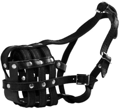 Dean and Tyler Maulkorb aus Leder, Größe D – Deutsche Dogge