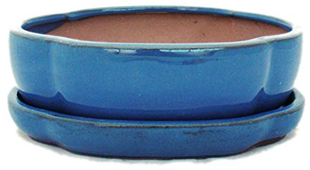 exotenherz Bonsai-Schale mit Unterteller Gr. 3 - Blau - haitang/oval - Modell I5 - L 17cm - B 14cm - H 5,5cm