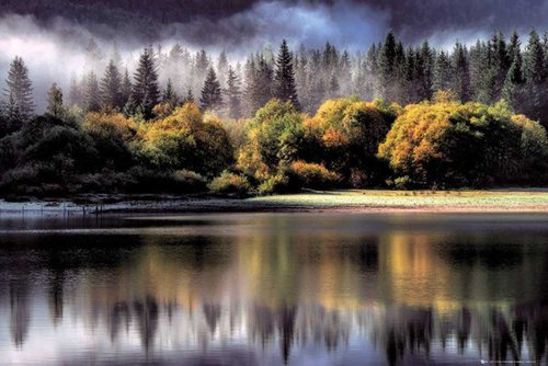 empireposter Wälder - Autumn Lights - Forests Poster Druck - Größe 91,5x61 cm