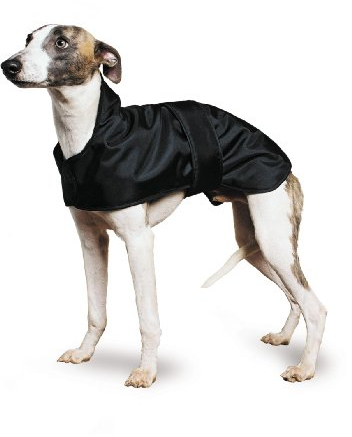 Ancol Muddy Paws Greyhound Whippet Coat for Dog Black - Cold Weather Protection Water Repellent Nylon with Mock Sheepskin Lining Adjustable Belly Strap - Medium