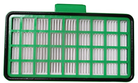 Rowenta ZR901501 Hepa Filter für SFE Cyclonic