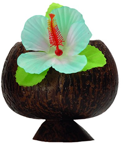 Boland 52374 Coupe de Style hawaïen en Forme de Noix de Coco
