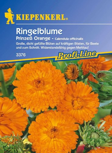 Ringelblume, 'Prinzeß Orange'