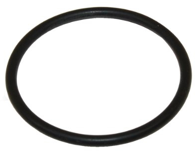 AEG Electrolux TRICITY BENDIX ZANUSSI Geschirrspüler Pumpe Vorne Dichtung. Original Teilenummer 1520292002