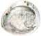 NaDeco Abalone Schnecke Länge ca 14-17 cm | Haliotis midae | Abalone Muschel | Deko-Schnecke | Seeohr | Seeopal | Meerohr | Räucherschale | Seifenschale | Maritime Dekoration | Muscheln und Schnecken