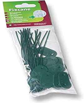 INTERMAS GARDENING Fixation Canisse Fixcane 26P Blister, Voir Photo, Vert