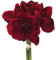Gasper Kunstblume Amaryllis 32 cm. Bund mit 3 Amarillis. DUNKELROT -09