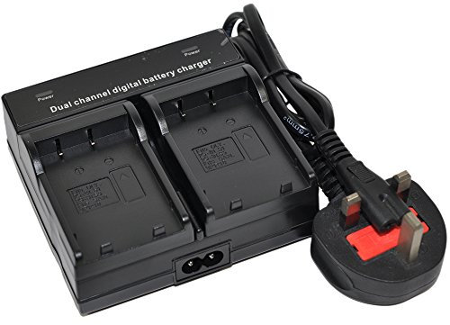 NP-FM500H chargeur de batterie AC pour Sony Npfm500h A58 A77 II A 850 A99 Alpha A99 A 560 DSLR-A560 Dslr-a900b une 580 SLT-A58 K A 100 A 200 A 300 A 350 A 700 DSLR-A100 SLT-A77 II SLT-A99 SLT-A99