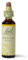 Bach Original Flower Remedies (Wild Oat) Know Your Own Mind, Decide Your Path, Emotional Wellness, Natural Flower Essence, 20ml