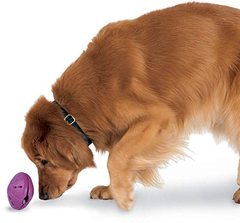 PetSafe Busy Buddy Twist 'n Treat, Hundespielzeug mit Leckerli-Spender, Größe L