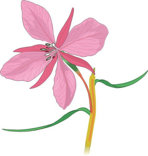 Indigos 4052166724159 Sticker Mural me425 Fleurs de Cerisier 80 x 77 cm