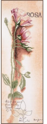 Rosa Counted Kit Botanical