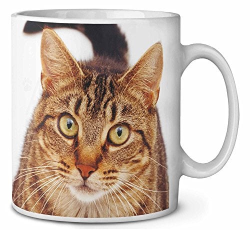 Face of Brown Tabby Cat Ceramic 10oz Coffee Mug/Tea Cup Printed Full Colour - Advanta Group® Ref:AC-190MG