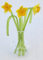 Gorgeous in vetro con narciso