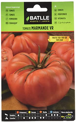 Batlle Gemüsesamen - Tomate Marmande VR (875 Samen)