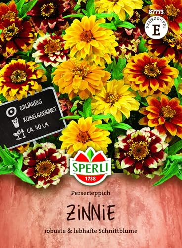 Sperli Zinniensamen Perserteppich 87773, Blumensaat | Mehrfarbige Zinnien, gefüllte und halbgefüllte Blüten, für Beet, Balkonkasten und Kübel, lange Blüte bis Oktober