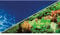 Hobby 31136 Fotorückwandzuschnitt Pflanzen 8, marin blau