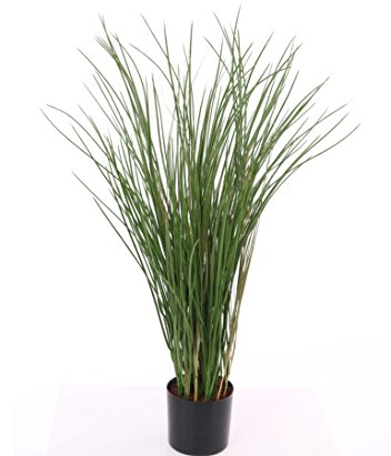 Künstliches Schilfgras 80cm hoch mit UV-Schutz - Outdoor Ziergras Kunstgras im Topf