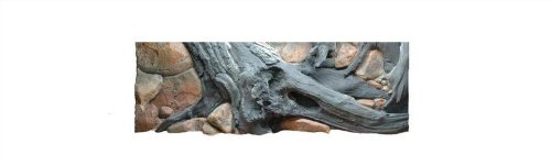 3D Rückwand 100x40 Aquariumrückwand Amazonas