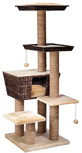 Europet Bernina 431-405574 Trend Katzenkratzbaum Curacao, 48 x 48 x 141 cm