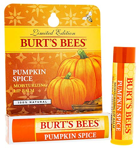 Burt's Bees Pumpkin Spice Blister Lip Balm, 0.15 oz