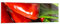 Panorama Bilder auf Glas 160x50cm Glasbild Gemüse würzig Chili Groß XXL Wanddeko Bild im Glas Schlafzimmer Küche Wandbilder Dekoration Wohnzimmer Modern Wall Decor Wand Kunstdruck Art GAB160x50-1135