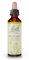 FLEURS DE BACH ORIGINAL - Mustard No 21 - Pour plus de stabilité - Aide à retrouver la joie initiale - Élixir floral naturel pour le bien-être émotionnel - Compte-Gouttes 20ml - Vegan