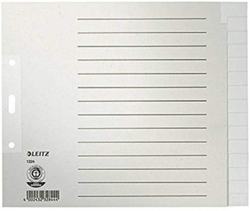 Leitz 1224 Register DIN A4, Überbreite blanko Tauenpapier Grau 15 Registerblätter 12240085