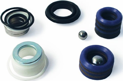 Graco 244194 Pompe REPAIR Kit d'emballage et valves pour pistolets à peinture Airless