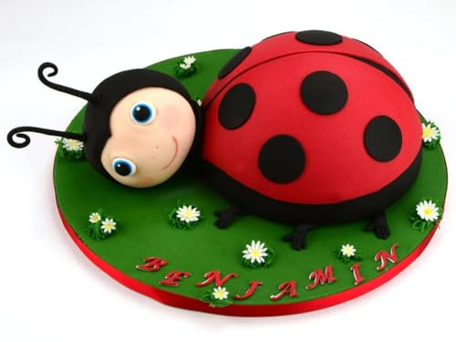 Pati-Versand Stampo in silicone per torta a mezza sfera, 18 cm