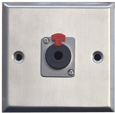 Metal A/V Wall Plate, Silver