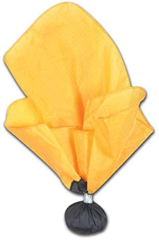 CHAMPRO Flagge mit Ball, gelb/schwarz