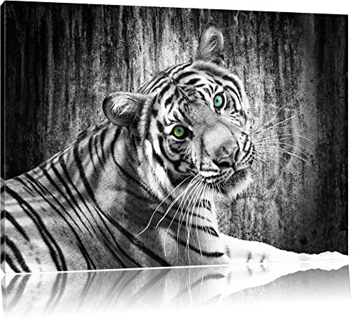 Pixxprint schöner neugieriger Tiger B&W, Größe: 60x40cm, Leinwandbild, fertig gespannt, Wandbild, Dekoration, Kunstdruck, kein Poster