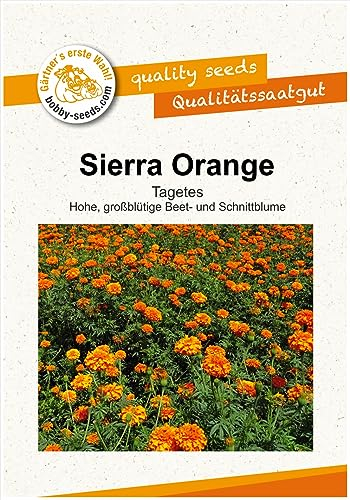 Blumensamen Sierra Orange Tagetes Portion