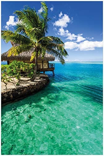 Wallario Poster - Karibisches Meer Einsame Hütte unter Palmen in Premiumqualität, Größe: 61 x 91,5 cm (Maxiposter)