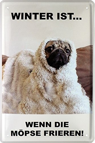Winter ist, wenn die Möpse frieren Mops Hund Blechschild 20 x 30 Retro Blech 382
