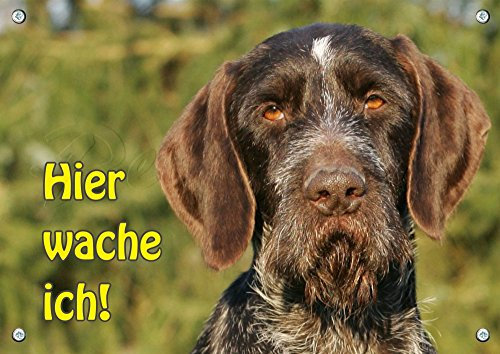 Petsigns Deutsch Drahthaar - Hundewarnschild - Exklusives Alu Schild - 1A Qualität, DIN A5