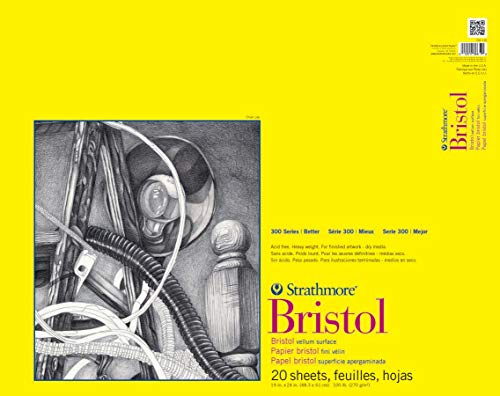 Strathmore P342-119 300 Series Bristol Pergamentpapier, 48,3 x 61 cm, 20 Blatt, Papier, Mit Band gebunden, 19 x 24, stück