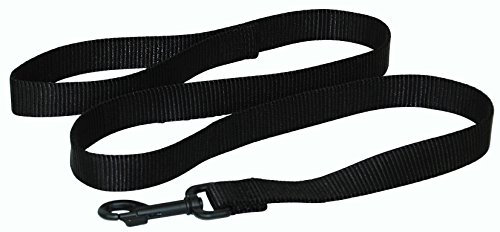 Hamilton Pet & Equine Single Thick Nylon with Snap, 2,5 cm x 1,8 m, Schwarz