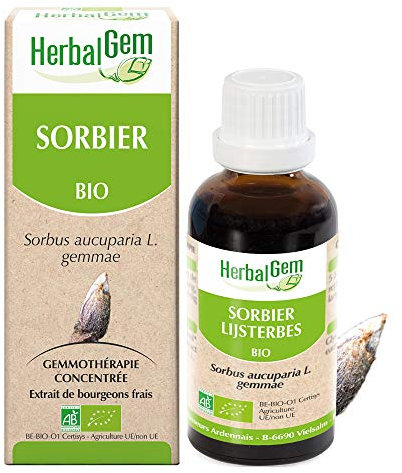 HERBALGEM - Macérât-Mère - Sorbier Bio - Complément Alimentaire Gemmothérapie Concentrée - Extrait De Bourgeon Frais - Pour Tonicité Du Corp, Défenses Immunitaires, Stress - Vegan - 30 ml