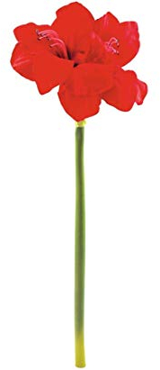 kunstpflanzen-discount.com Feine Amaryllis Kunstblume 72cm mit 2 großen Blüten aus roten Blättern